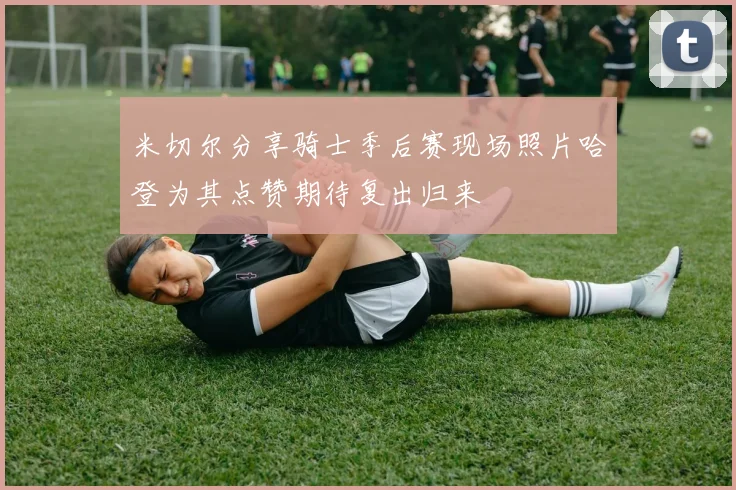 米切尔分享骑士季后赛现场照片哈登为其点赞期待复出归来