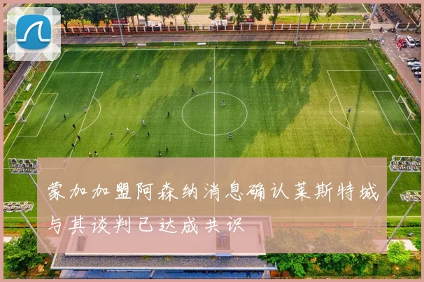 蒙加加盟阿森纳消息确认莱斯特城与其谈判已达成共识