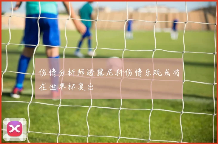 伤情分析师透露尼科伤情乐观或将在世界杯复出
