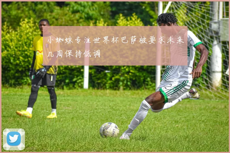 小蜘蛛专注世界杯巴萨被要求未来几周保持低调